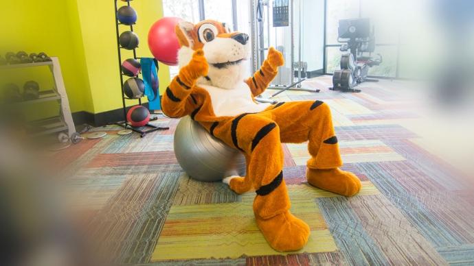 LeeRoy Mascot坐在家庭健身房的健身球上